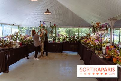 Fête des Plantes au Château de Dampierre dans les Yvelines - photos