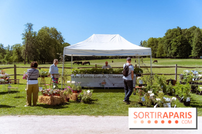 Fête des Plantes au Château de Dampierre dans les Yvelines - photos