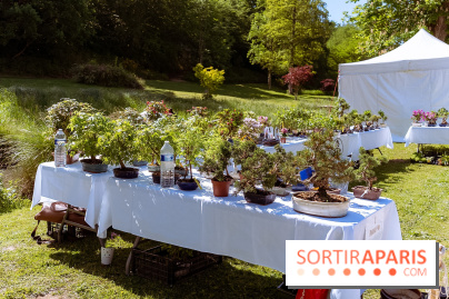 Fête des Plantes au Château de Dampierre dans les Yvelines - photos
