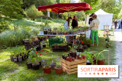 Fête des Plantes au Château de Dampierre dans les Yvelines - photos