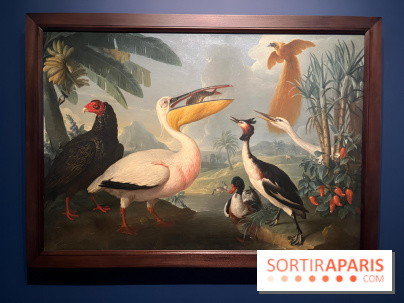 Plumes de Paradis, l'expo au musée du Quai Branly - nos photos