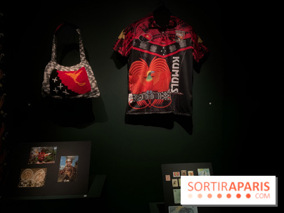 Plumes de Paradis, l'expo au musée du Quai Branly - nos photos