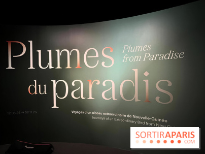Plumes de Paradis, l'expo au musée du Quai Branly - nos photos