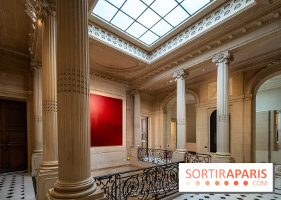 La Maison Guimet (Hôtel d'Heidelbach) - les photos