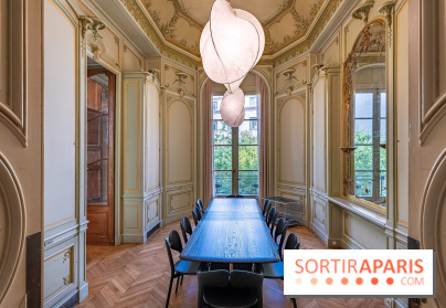 La Maison Guimet (Hôtel d'Heidelbach) - les photos