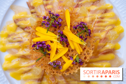 La terrasse jardin du Sax Hotel avec piscine - lcarpaccio de sériole