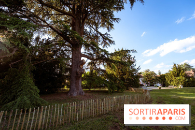 Le Parc et château de Lardy en Essonne - photos