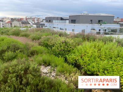 L'aromathèque Persépolis, sur le toit de la bourse du travail à Saint-Denis - nos photos
