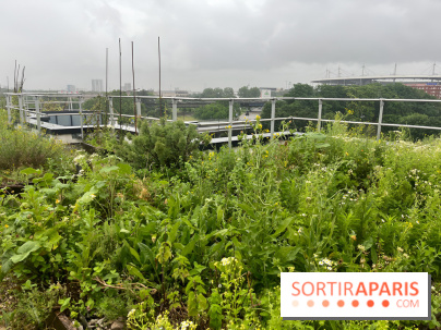 L'aromathèque Persépolis, sur le toit de la bourse du travail à Saint-Denis - nos photos