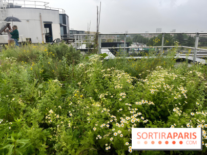 L'aromathèque Persépolis, sur le toit de la bourse du travail à Saint-Denis - nos photos