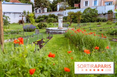 Le domaine du Chateau de la Celle SainCloud dans les Yvelines - photos