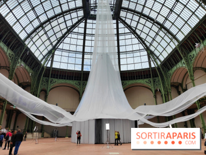 Nous, frissons d'étoile : une installation immersive contemporaine au Grand Palais