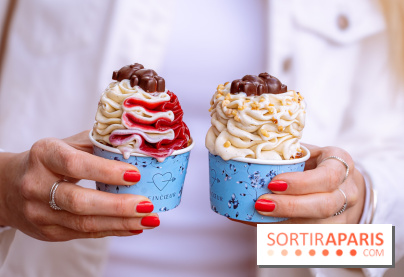 Le comptoir à glaces de Pleincœur et ses coupes glacées - photos