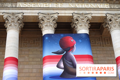 Seth habille la colonnade de l’Assemblée nationale - nos photos