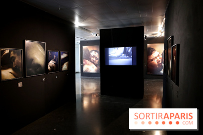 Sumo, forces sacrées : nos photos de l'exposition