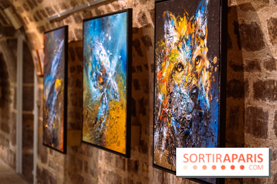 Exposition street art Sax à l’église de la Madeleine - les photos - détail