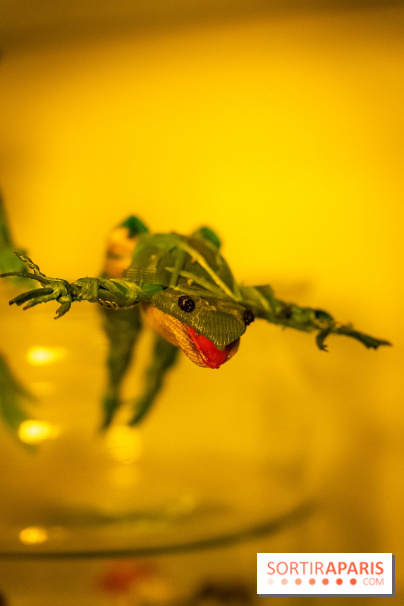 Fauna Fabulosa : un bestiaire fantastique au château de la Roche Guyon dans le Val d'Oise - photos
