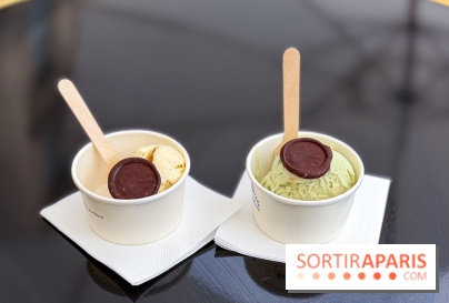 Glaces gratuites AMI Paris - Facetune 02 07 2026 21 53 20