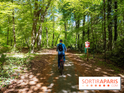 Liaisons douces à Fontainebleau : la forêt à vélo, les photos