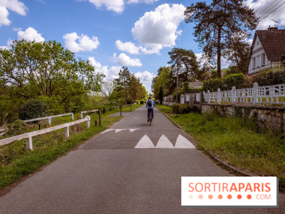Liaisons douces à Fontainebleau : la forêt à vélo, les photos