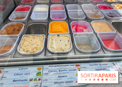 Glaces Martine Lambert