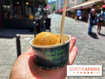 Glaces Martine Lambert