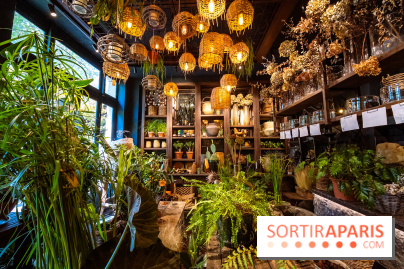 Mégie, la cantine botanique, boutique et atelier floral - photos