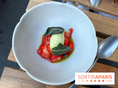 Ethanol - Fraises sauge
