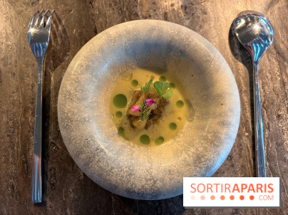 Eskal - Ceviche aubergine