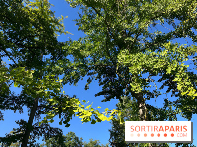 Le Jardin du Pré Catelan, un jardin dans le bois de Boulogne
