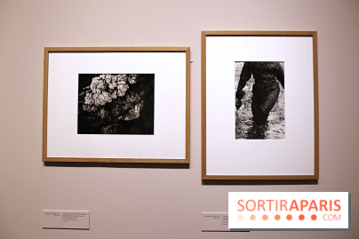 Photographies japonaises de la BnF - nos photos de l'exposition