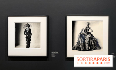 Irving Penn