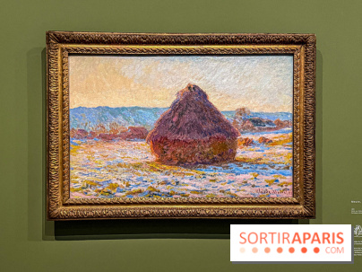 Monet, peindre le temps : l'exposition événement au musée de l’Orangerie