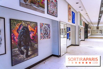 L'Expo des 150 2026 et Street Art Denfert, les photos