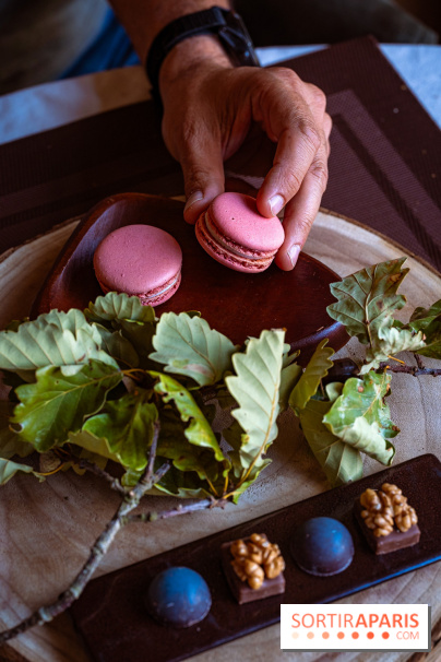 L'Ermitage Saint-Antoine, le charmant restaurant gastronomique à Barbizon