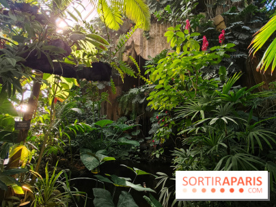 Automne tropical 2026