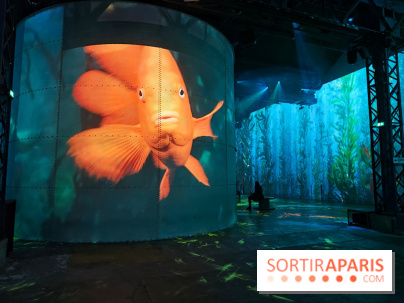 Plongez à la découverte de Planète Océan, l’exposition immersive de l’Atelier des Lumières