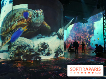 Plongez à la découverte de Planète Océan, l’exposition immersive de l’Atelier des Lumières