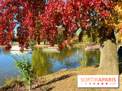 Les îles du Lac Daumesnil, une escapade dans le 12e arrondissement de Paris