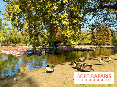 Les îles du Lac Daumesnil, une escapade dans le 12e arrondissement de Paris