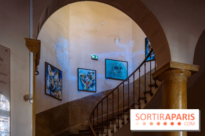 Empreintes, l'exposition Street-art gratuite de Sax à la Fondation Eugène Napoléon