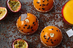 Gontran Cherrier Dôme