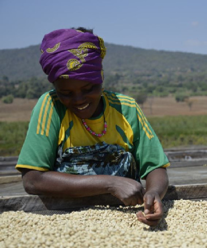 La Compagnie du Café : atelier de torréfaction et coffee shop