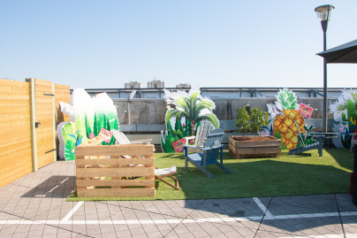 Domus lance des ateliers récolte de miel sur sa terrasse végétale 