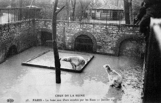 Le saviez-vous ? Quelle a été la pire crue de Paris ? Retour en images