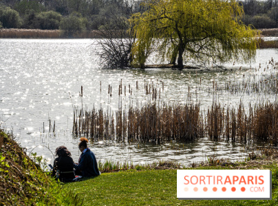 Où pique-niquer dans les Yvelines, les meilleurs bons plans aux superbes vues - étang des Noé - Mesnil saint dénis