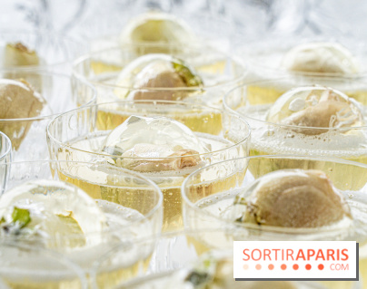 La terrasse en Rooftop du Peninsula Paris 2024, la terrasse bar secrète à la vue imprenable