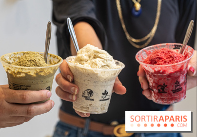 Les glaces granité-neige et crème glacées ultra rafraichissantes de Jade Génin pour se régaler 2024