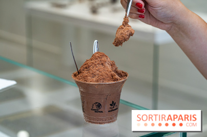 Les glaces granité-neige et crème glacées ultra rafraichissantes de Jade Génin pour se régaler 2024