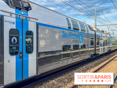 RER B, D et Transiliens : perturbations majeures pendant les vacances de la Toussaint 2024